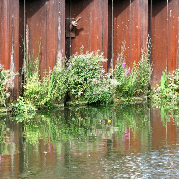Flot Oudenbosch