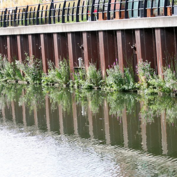 Flot Oudenbosch