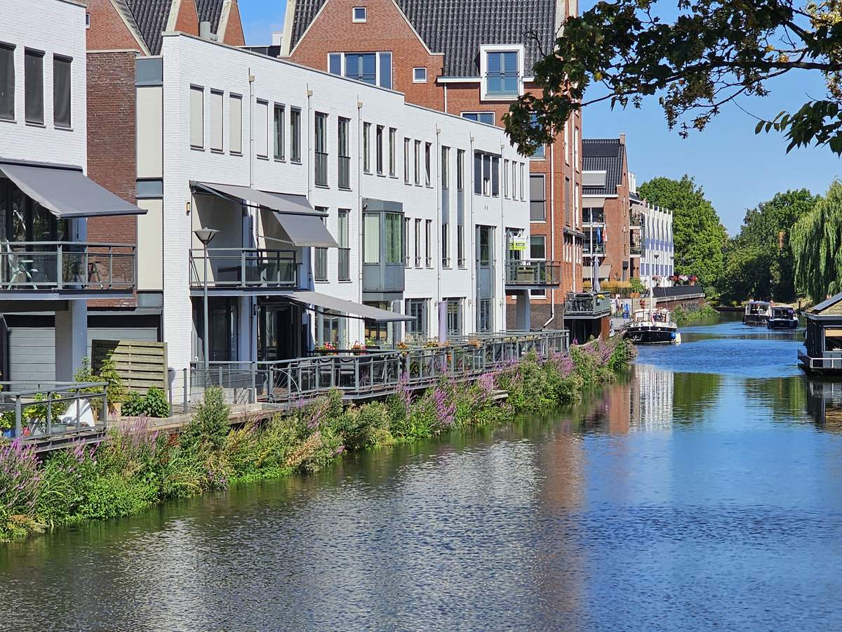 Damwandvergroening met FLOT in haven Oudenbosch, foto 3 van 4