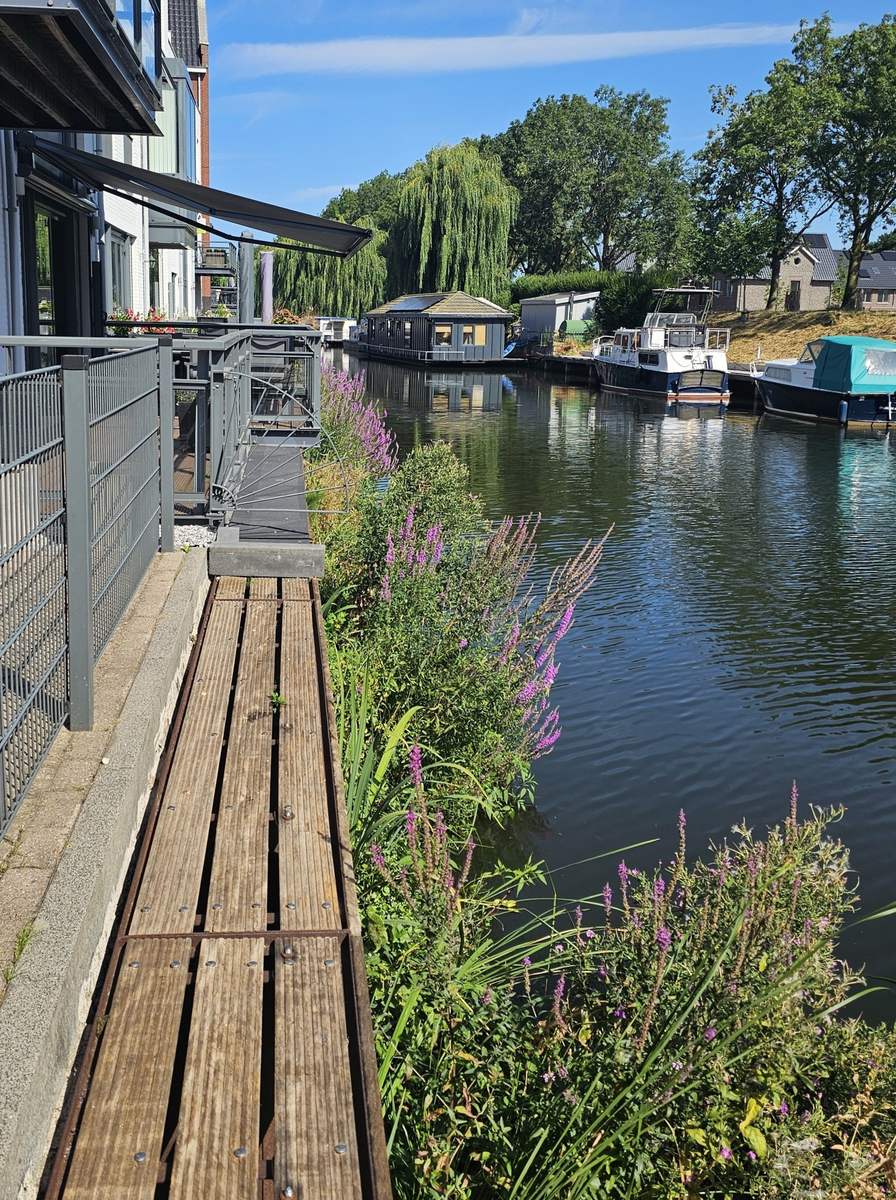 Damwandvergroening met FLOT in haven Oudenbosch, foto 4 van 4