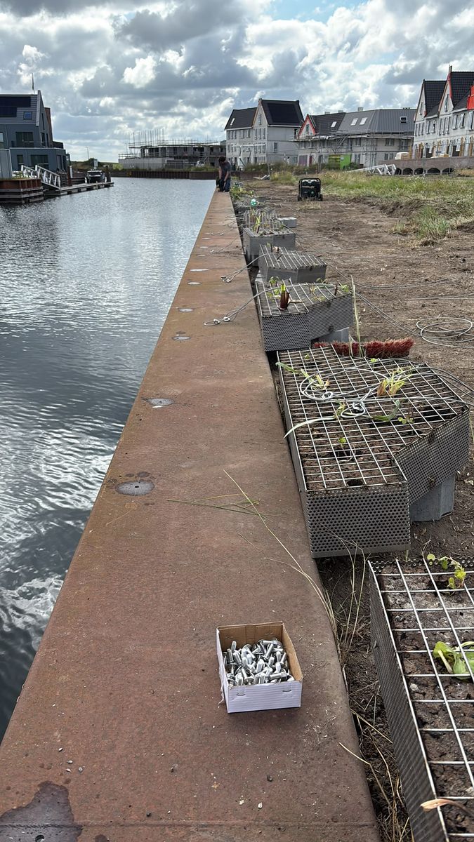 Net geplaatste FLOT-modules met jonge beplanting langs een damwand in Zeewolde